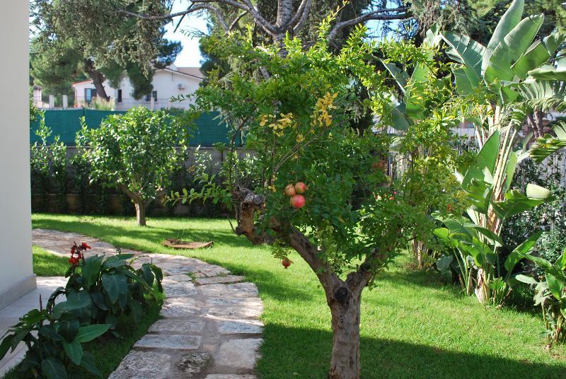 No Tag Urban Hotel Trani Εξωτερικό φωτογραφία
