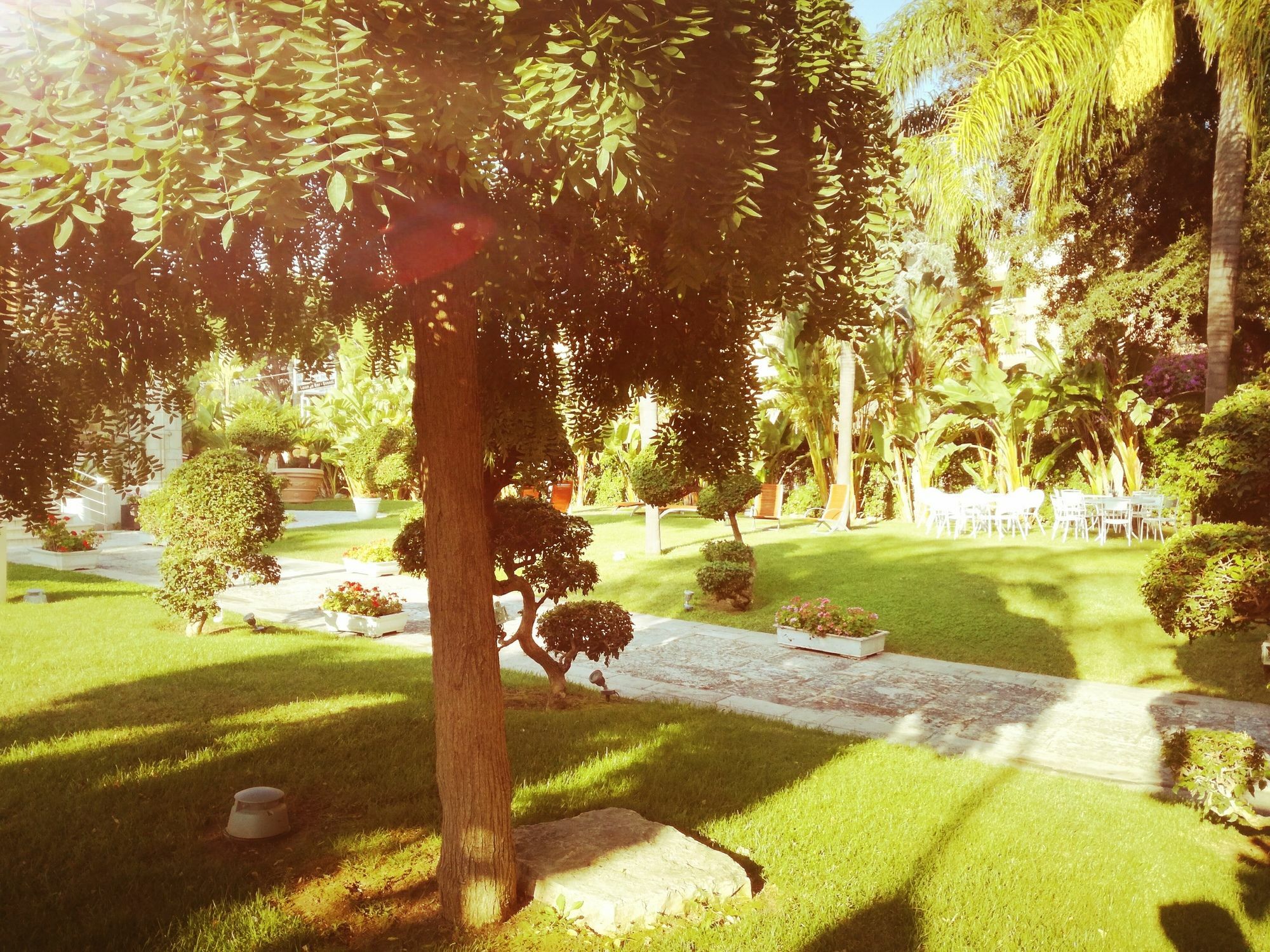 No Tag Urban Hotel Trani Εξωτερικό φωτογραφία